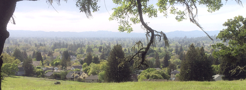 Santa Rosa home Insurance
